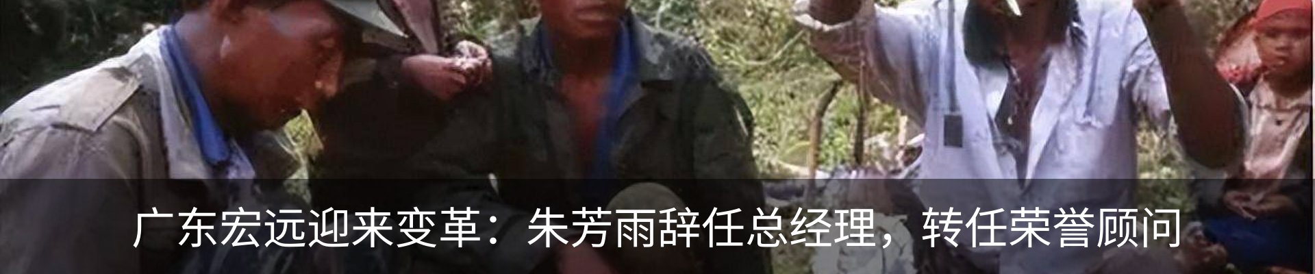 行业资讯